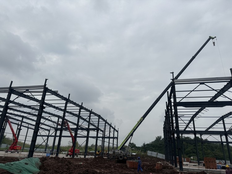 中試基地衝刺年底竣工 高校提前“搶位置”