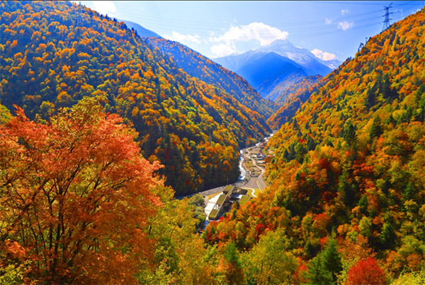 2025年黑水縣第十三屆冰川彩林生態文化旅遊季啟幕_fororder_圖片-3