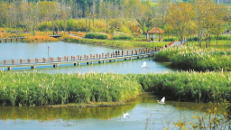（轉載）“顏值”與“價值”的雙向奔赴 解鎖公園城市生態價值轉化新路徑