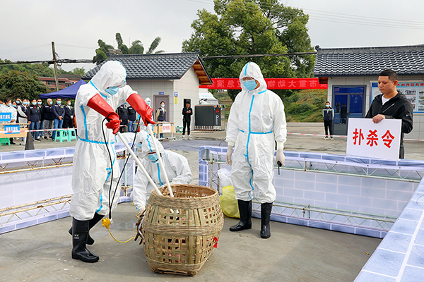 2025年自貢市重大動物疫情應急演練在貢井區舉行_fororder_4演練現場