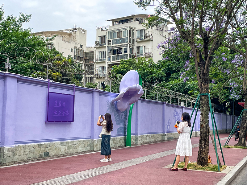 藍花楹開 眉山東坡迎來“浪漫時刻”_fororder_圖2-市民遊客在藍花楹樹下拍照。豆玲惠攝