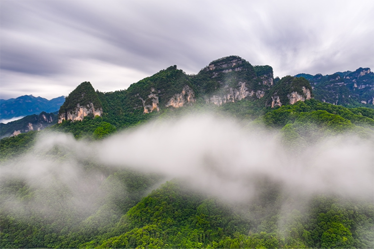 來光霧山 赴一場“18℃的清涼之約”_fororder_圖片1