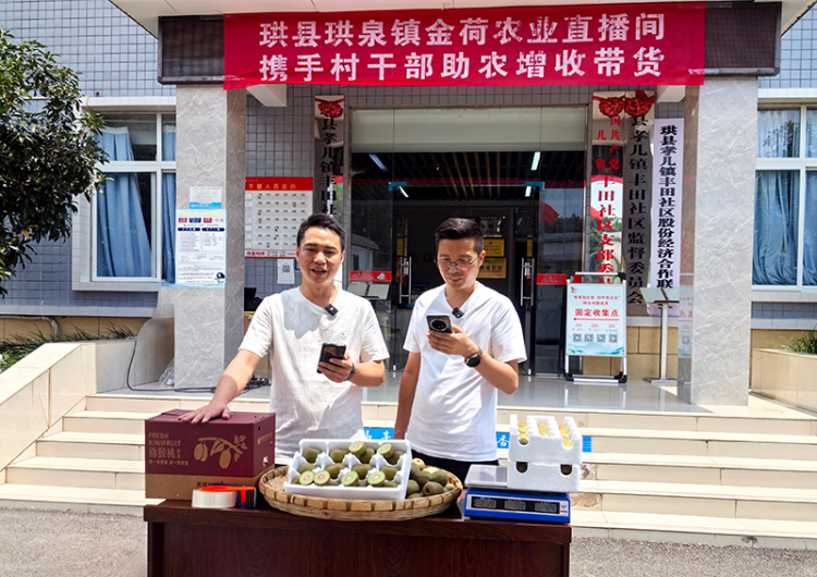 宜賓珙縣：從“一鎮熱銷”到“多點助農” 珙泉鎮“直播帶貨”火出圈_fororder_珙泉鎮金荷農業直播帶貨-供圖-珙縣融媒體中心