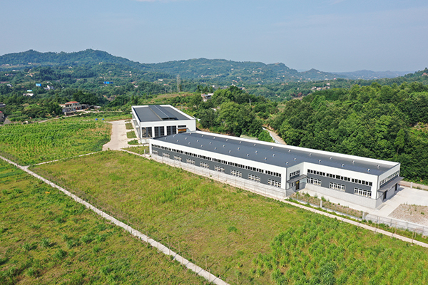 瀘州合江：鴕鳥特色養殖“跑”出鄉村振興新路子_fororder_鴕鳥養殖廠（攝影-鄧佳怡）