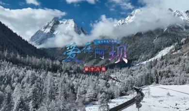 【愛在阿壩】第1集 熊貓家園 凈土阿壩_fororder_18