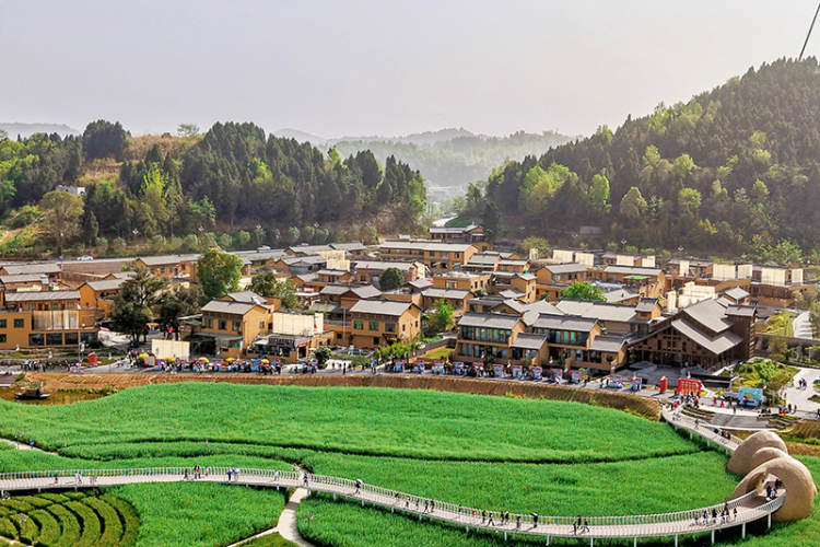 千年一面 鄉風新韻：中江掛麵村的鄉村振興實踐_fororder_微信圖片_20250413133209