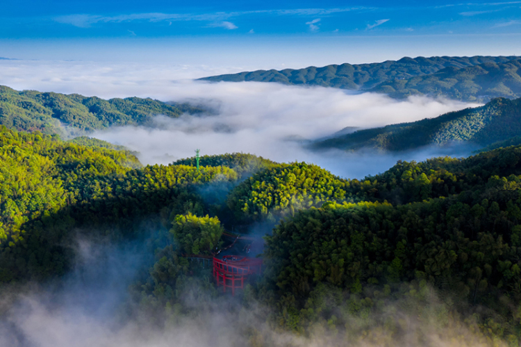 宜賓長寧連續四年躋身中國縣域旅遊競爭力百強_fororder_蜀南竹海風光-供圖-長寧縣融媒體中心