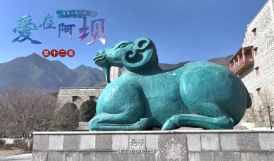 【愛在阿壩】第12集 羊角上的兒女_fororder_12