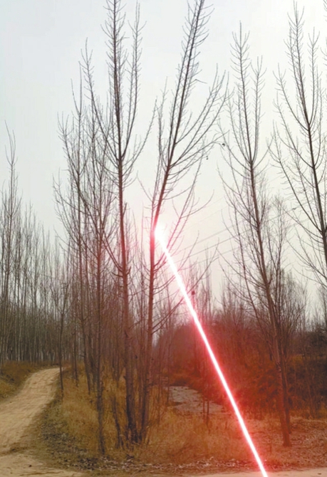 成都造“鐳射砍樹機器狗”火了