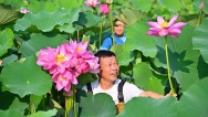 眉山仁壽：荷香滿塘采收忙