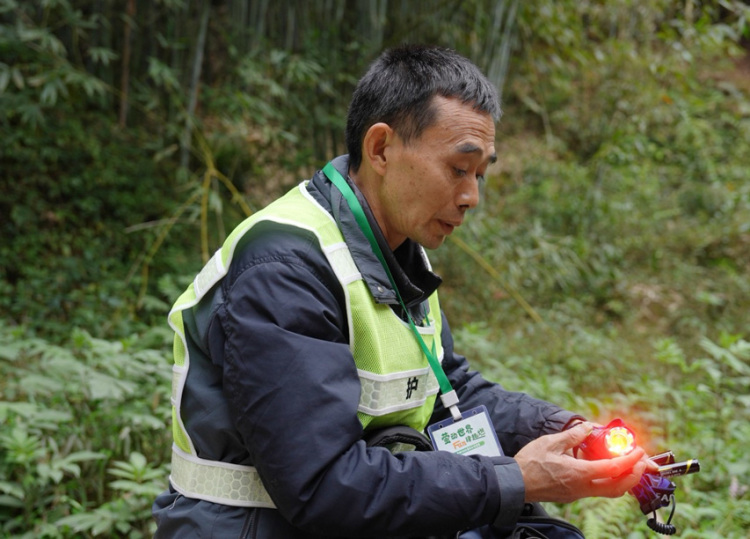 青神：綠色鄉村繪共富_fororder_護林工作人員巡查螢火蟲棲息地