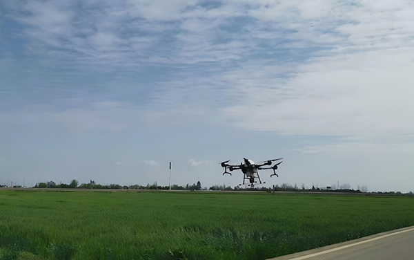 眉山丹棱：繪就春耕新圖景 農業跑出“加速度”_fororder_無人機噴灑農藥防治害蟲(1)
