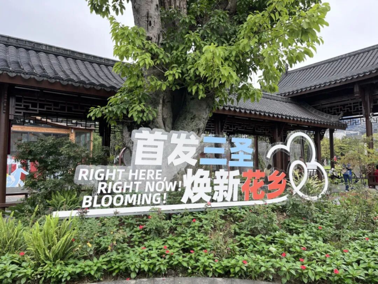 三聖花鄉再“升級” 推出15個首發文旅消費新場景