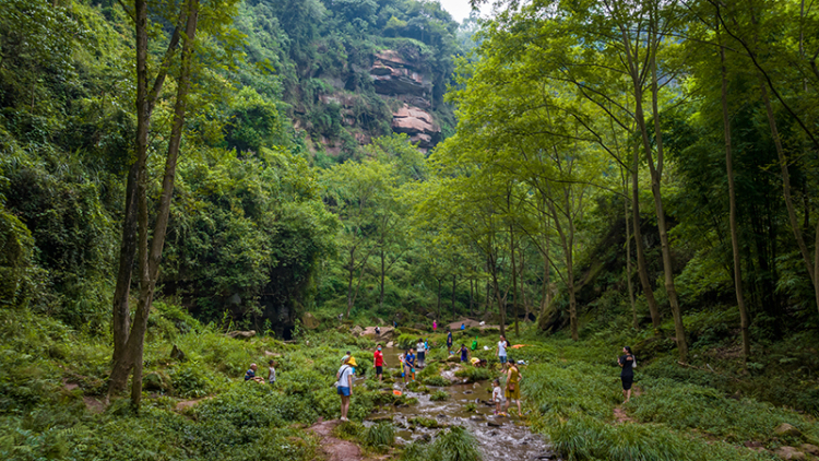 眉山丹棱：山水之間的清涼秘境 解鎖農文旅融合的“詩與遠方”_fororder_遊客在黃金峽戲水、抓蝦