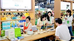 13家納溪特早茶品牌茶企亮相四川茶博會