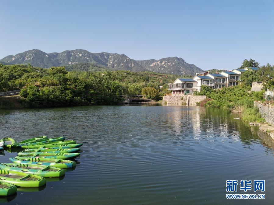 山東蒙陰：“樹上”的風景