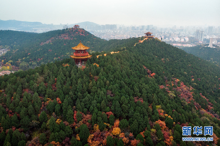 藏于泉城市區裏的幽靜山林