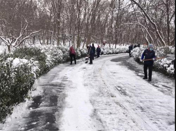 （圖説已修改）以雪為令 濟南文旅發展集團積極行動應對低溫雨雪天氣