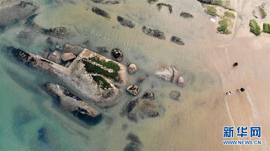 山東日照：假期觀海