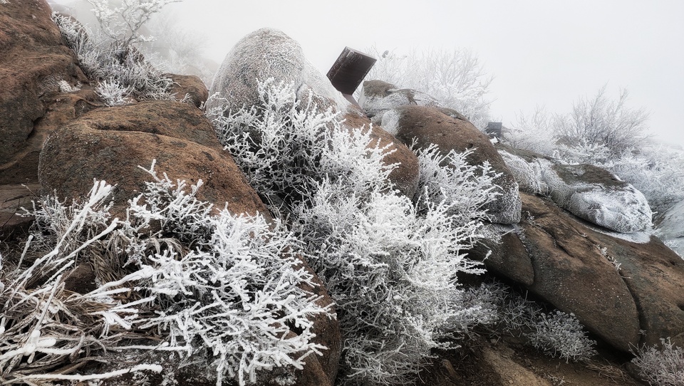 臘八送祝福，嶗山巨峰迎“羽毛雪”