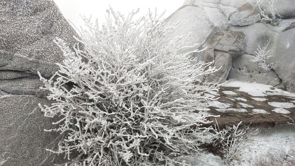 臘八送祝福，嶗山巨峰迎“羽毛雪”