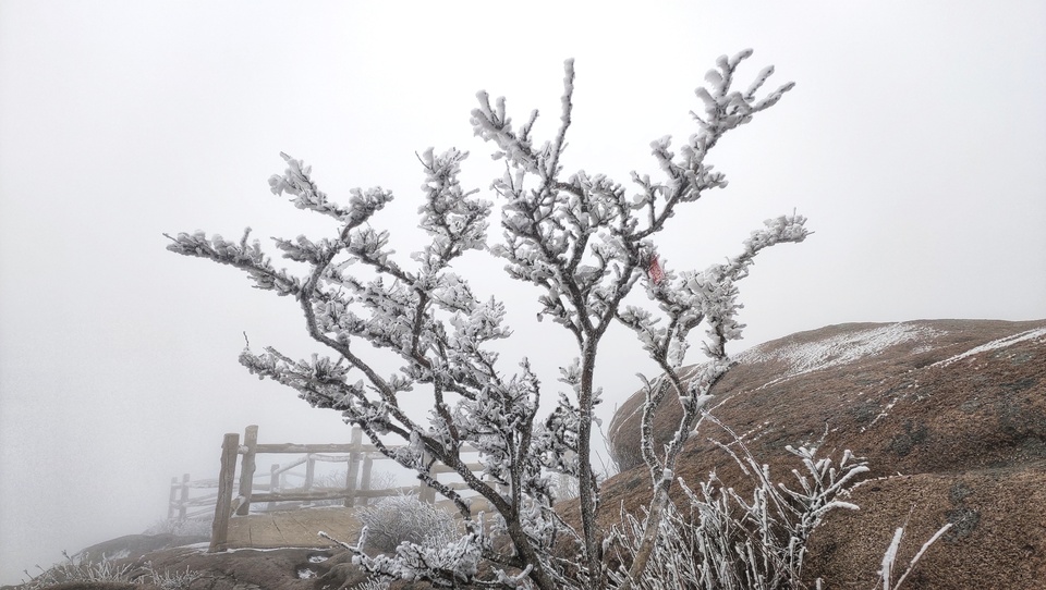 臘八送祝福，嶗山巨峰迎“羽毛雪”