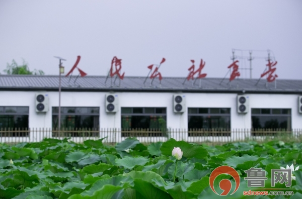 【母親河畔的中國】“慢主義”融合“黃河情” 高青打造詩意生活棲息地_fororder_2