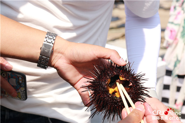 【我愛這片藍色的國土】大力發展海帶産業 渤海明珠大欽島的致富經