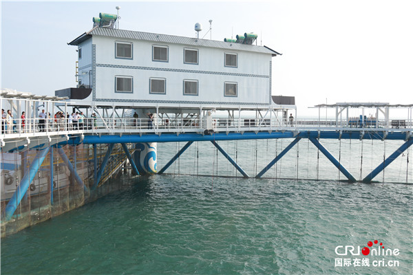 【我愛這片藍色的國土】“海上牧場”長鯨一號：構建起海上的“綠水青山”