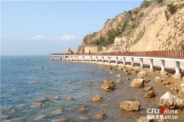 【我愛這片藍色的國土】煙臺長島——華麗蛻變的生態之島