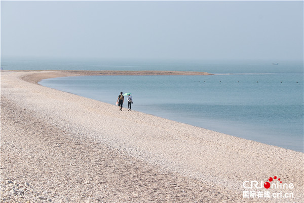 【我愛這片藍色的國土】煙臺長島——華麗蛻變的生態之島