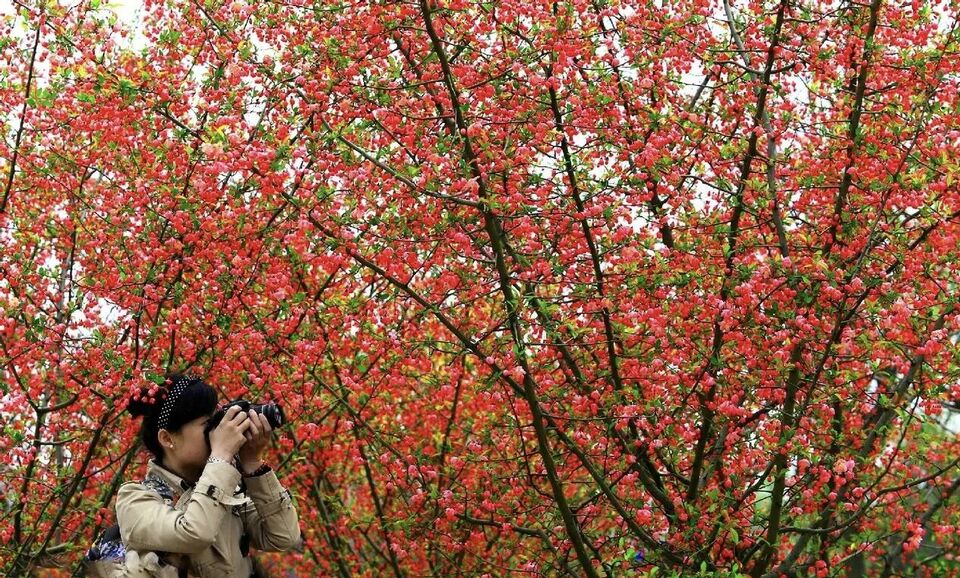 美景山東｜濟南植物園：奧妙無窮的植物王國