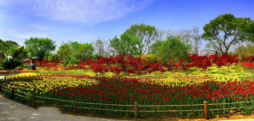 美景山東｜濟南植物園：奧妙無窮的植物王國