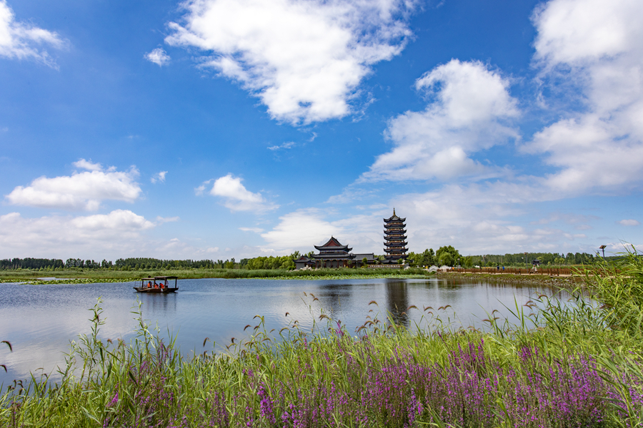 山東東平：遇見“多巴胺”東平湖_fororder_1