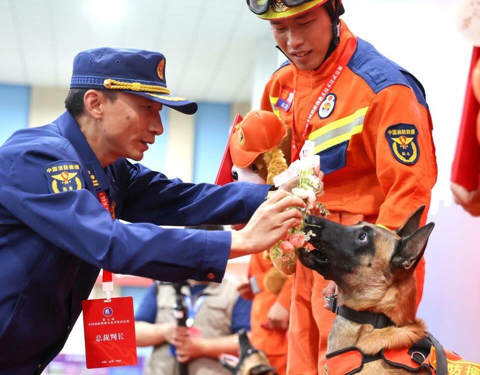 第七屆全國消防搜救犬技術比武競賽在濟南舉行