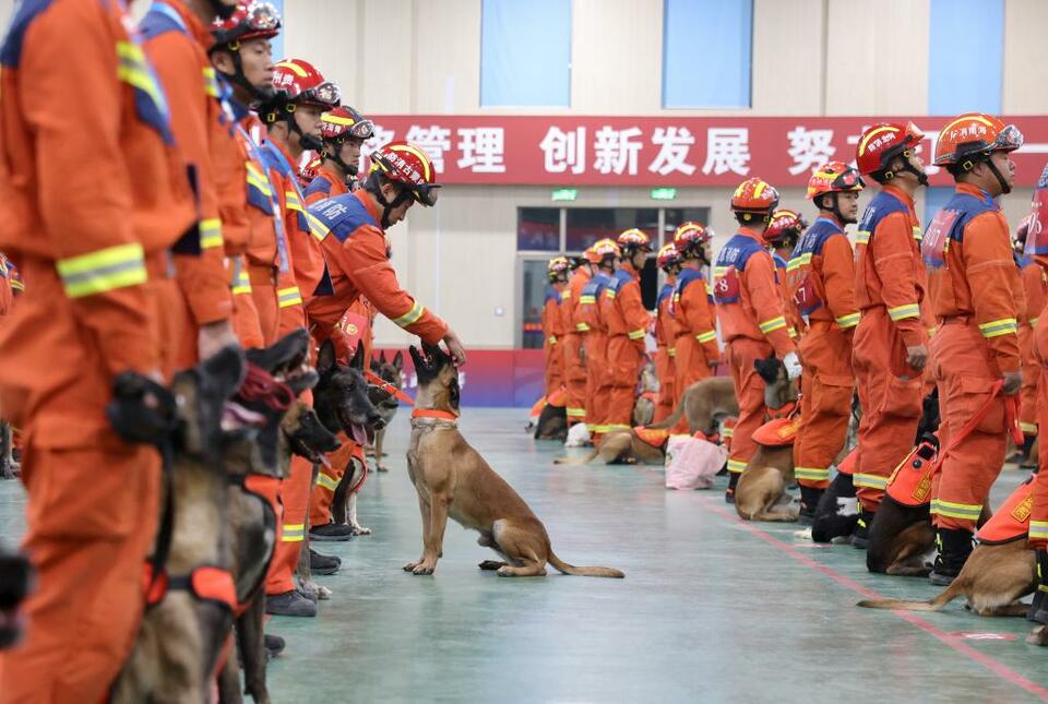 第七屆全國消防搜救犬技術比武競賽在濟南舉行