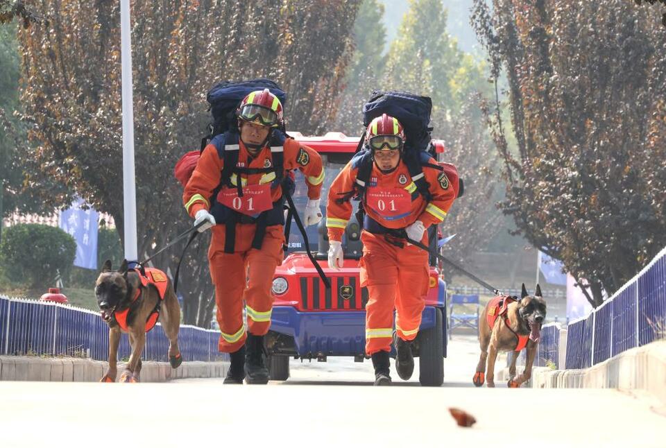 第七屆全國消防搜救犬技術比武競賽在濟南舉行