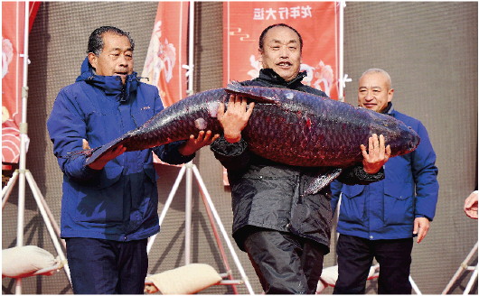 濟寧第九屆太白湖捕魚節開幕 “魚王”103斤