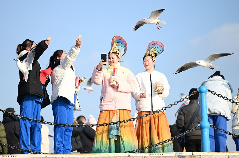 【原創】甘肅隴南研學學生在青島棧橋與海鷗共舞 演繹“山海情深”_fororder_4