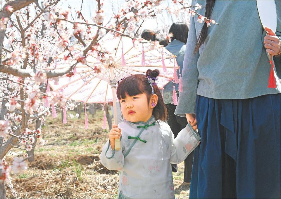 濟南：賞花踏青正當時