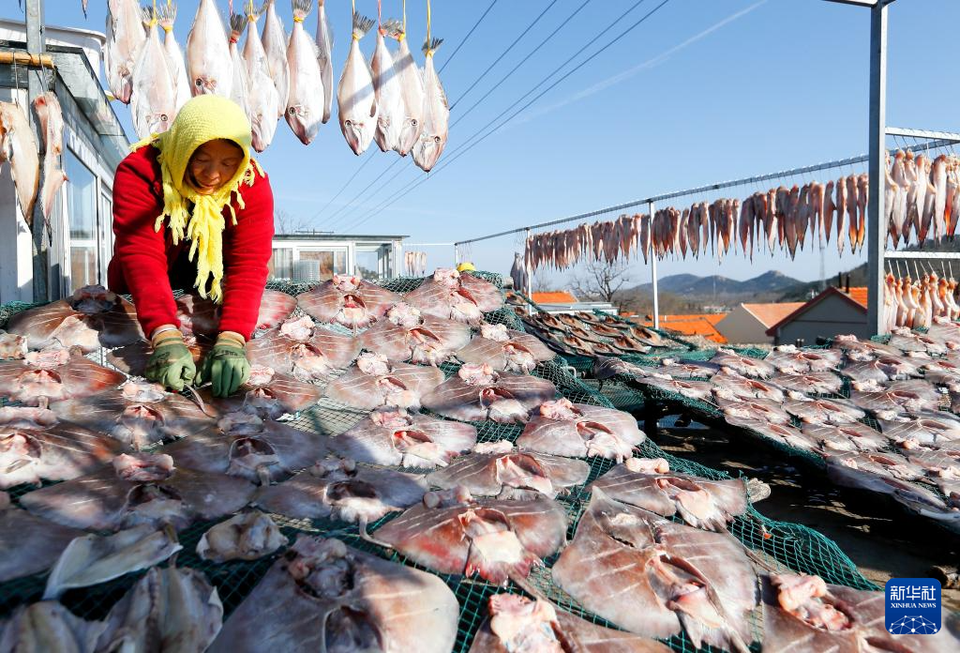 冬日時節曬魚忙