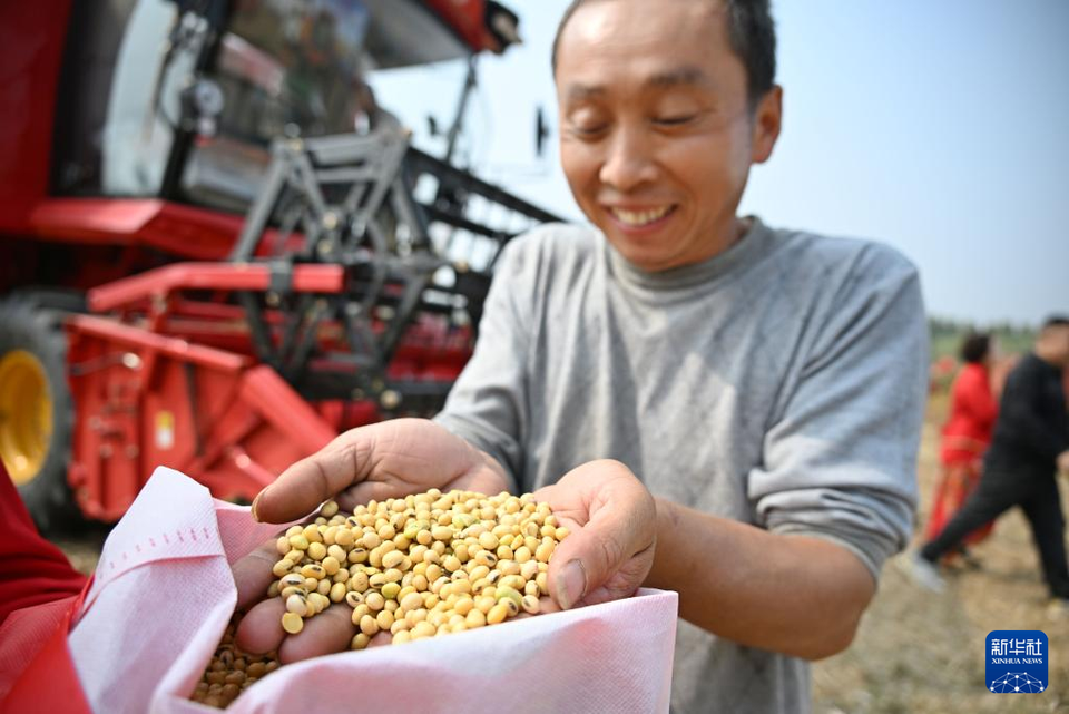 青島泊裏：共富新模式助農好收成