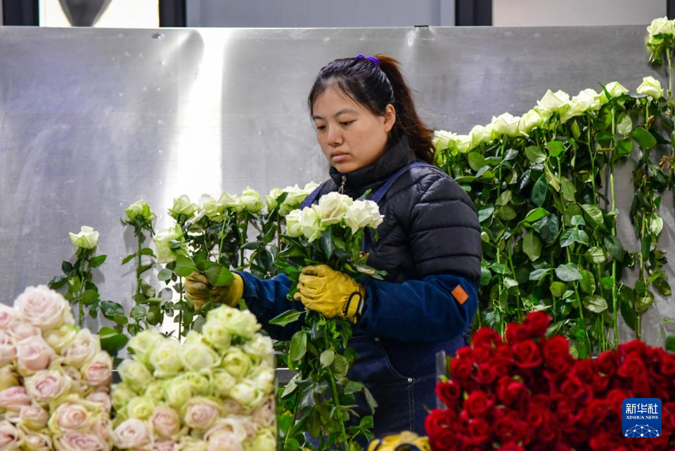 山東淄博：廢棄礦坑變身“玫瑰花園”