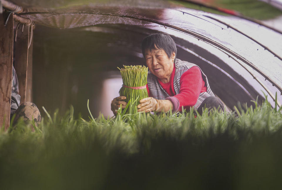 濱州鄒平：年貨市場足 快樂過大年