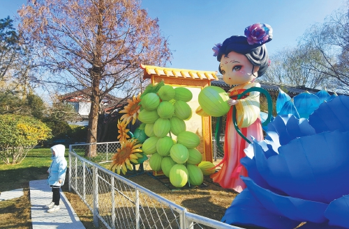 山東濟南：花燈爭艷引客來 “湖畔雨荷”火出圈