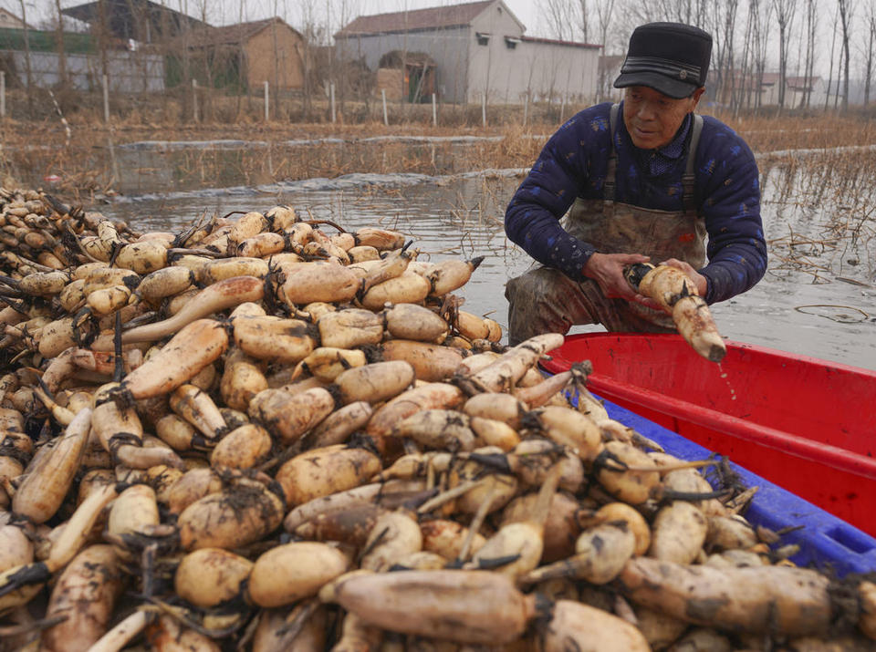 濱州鄒平：年貨市場足 快樂過大年