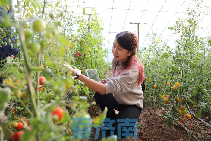 逛田園，進社區……外國友人“鋼城行”美哉樂哉