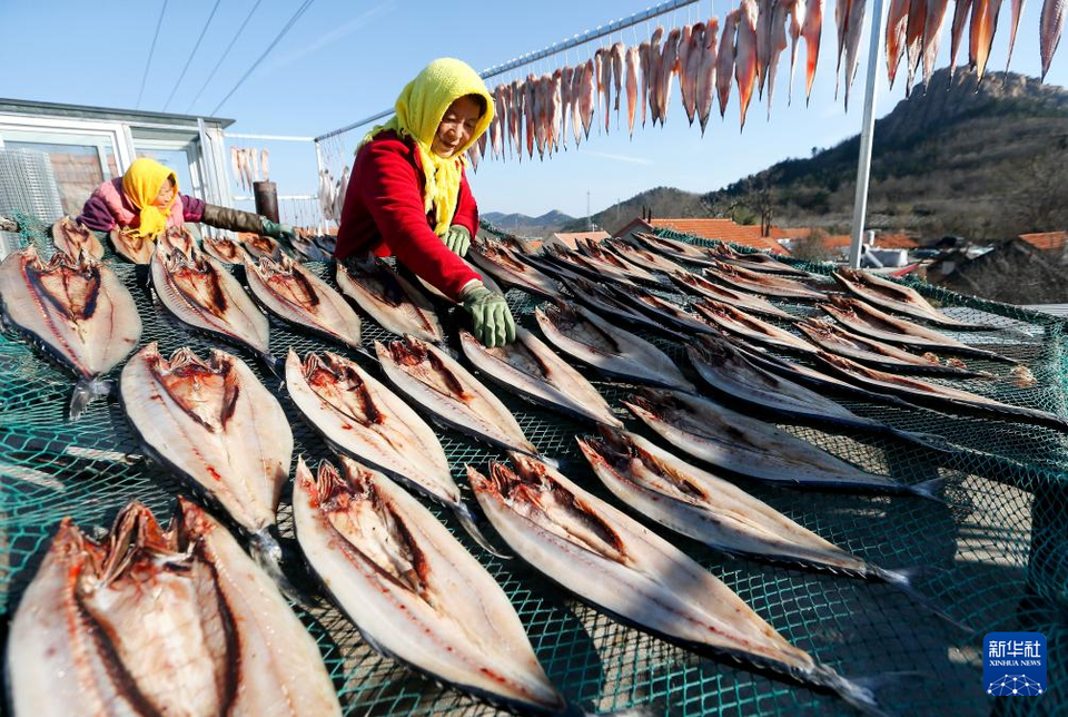 冬日時節曬魚忙