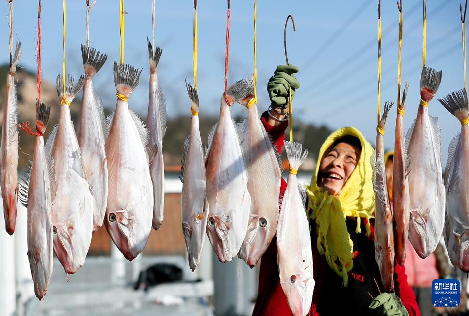 冬日時節曬魚忙