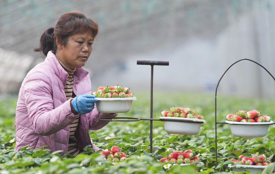 濱州鄒平：年貨市場足 快樂過大年